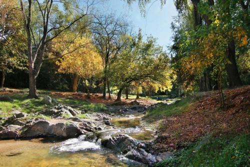 a river with rocks and trees on a field at Casitas del arroyo Actividades Arte Cultura y descanso en Villa General Belgrano in Villa General Belgrano