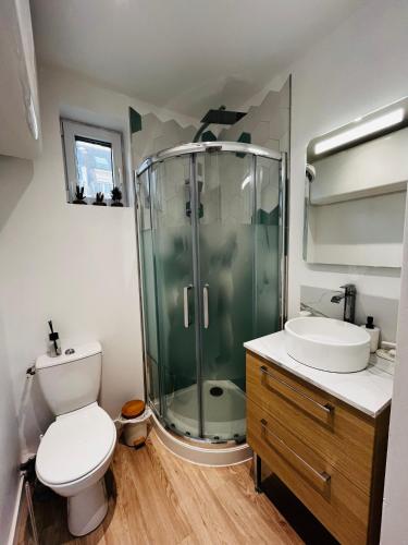 une salle de bain avec une douche, des toilettes et un lavabo dans l'établissement Saint Nicaise - Centre historique de Rouen, à Rouen