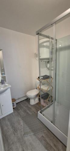 une salle de bain avec toilettes et douche en verre dans l'établissement STUDIO NEUF HYPER CENTRE PROCHE PLACE STANISLAS ET GARE 17m2, à Nancy