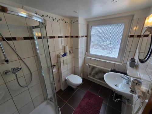 a bathroom with a shower and a toilet and a sink at am Mühlbach - Ferienwohnungen Luttinger in Bichlbach