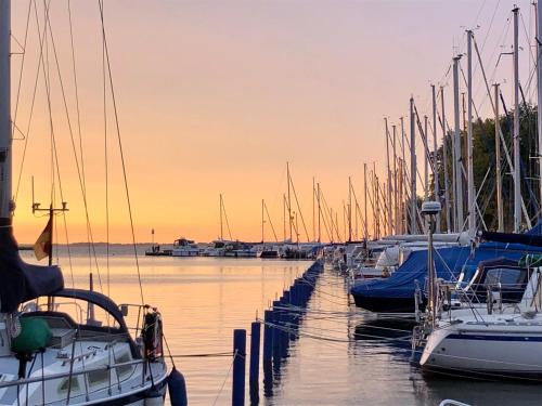 a group of boats docked in a marina at sunset at Sonniges Strandhaus mit Wasserblick am Haff mit 2 Schlafzimmern für 4 Pers in Mönkebude