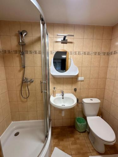 Kúpeľňa v ubytovaní Willa Kryspinów