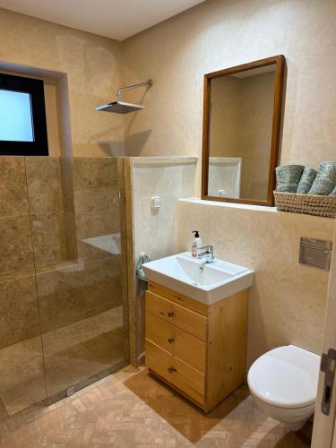 a bathroom with a toilet and a sink and a shower at Villa 228 Dyar Shemsi in Taroudant