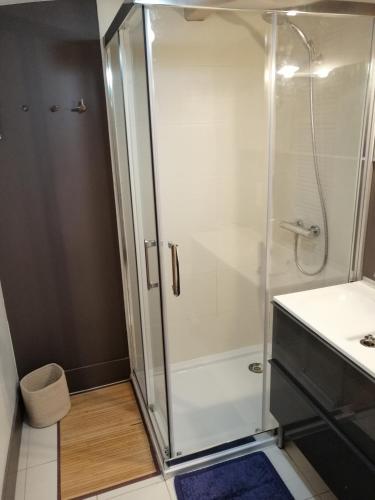 une douche avec une porte vitrée dans une salle de bain dans l'établissement Maison 2 chambres centre ville, à Toulouse