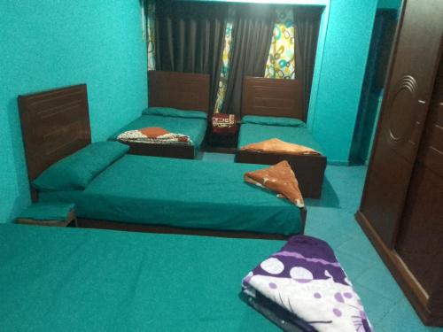 Postel nebo postele na pokoji v ubytování Elmosheer hotel aswan