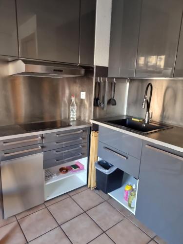 une cuisine avec un évier et un réfrigérateur dans l'établissement Signal du Prorel Briançon Serre Chevalier 