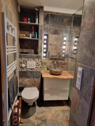 une petite salle de bain avec toilettes et lavabo dans l'établissement Signal du Prorel Serre Chevalier Briançon 