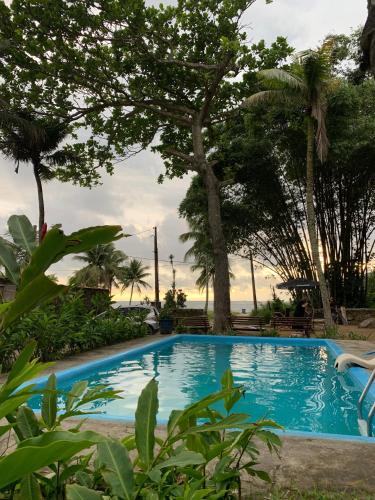 a blue swimming pool with trees in the background at Frente ao Mar - Suites com Piscina Aquecida, SPA Privativo, Vista ao Mar ou Montanha, com Estacionamento- Raizes do Mar ECO Hotel in Guarujá