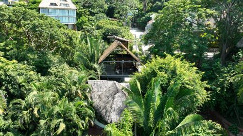 a building in the middle of a forest of trees at Casa Selva Sayulita in Sayulita