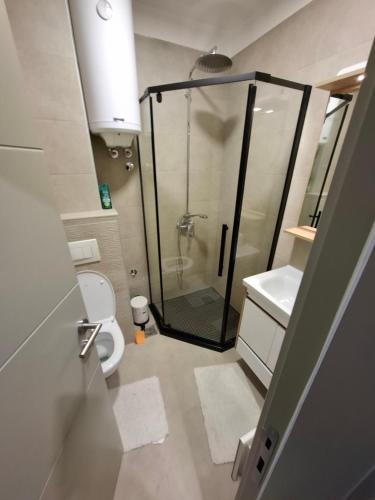 a bathroom with a shower and a toilet and a sink at TomaR-Gondola in Kopaonik