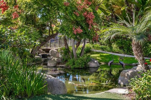 a garden with a pond with birds in it at Sheraton La Jolla in San Diego