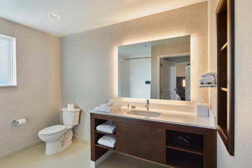 a bathroom with a sink and a toilet and a mirror at Residence Inn Sacramento Davis in Davis
