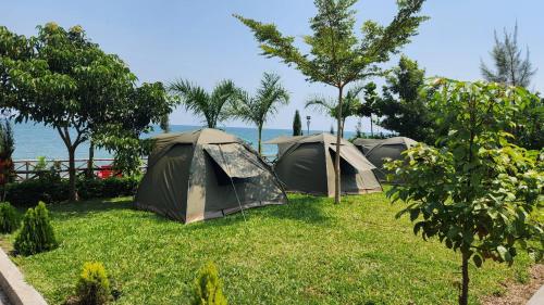 Homa BayArch-Villa Resort&Camping Site Mfangano Island的水边的草地上搭着三个帐篷。
