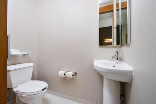 a white bathroom with a toilet and a sink at SpringHill Suites Ashburn Dulles North in Ashburn