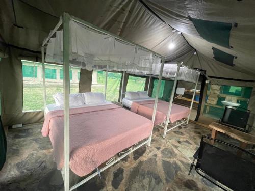 une chambre avec deux lits dans une tente dans l'établissement AMENITY TOURs & CAMPING - SERENGETI, à Lukungu