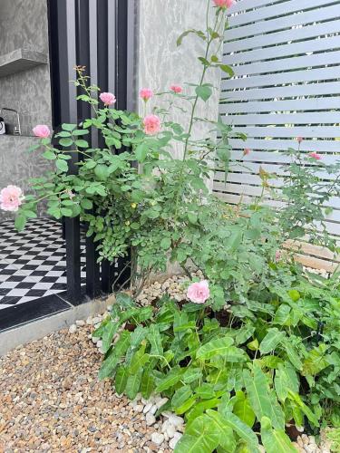 a garden with pink roses in front of a door at Alisto Khaoyai in Wangkata
