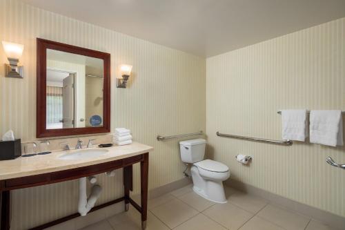 a bathroom with a toilet and a sink and a mirror at Sheraton Carlsbad Resort & Spa in Carlsbad