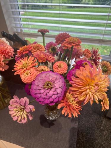 a vase filled with pink and orange flowers on a table at Cedara Way Hilton in Hilton