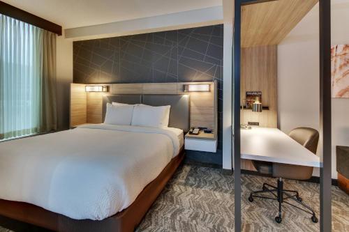 a hotel room with a bed and a desk and a tub at SpringHill Suites by Marriott Birmingham Downtown at UAB in Birmingham