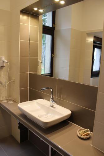 a bathroom with a sink and a mirror at Schlosshotel Stecklenberg in Thale