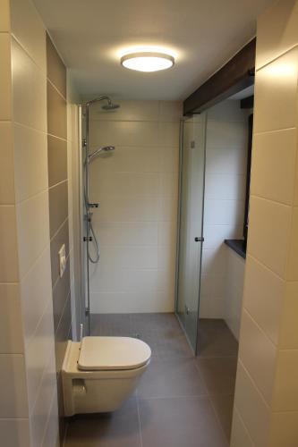 a bathroom with a toilet and a shower at Schlosshotel Stecklenberg in Thale
