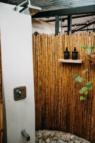 a wall with a shelf with potted plants on it at La VanDida, Camper house in Paraíso