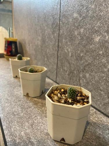three potted plants sitting on top of a counter at The Florist Resort in Mae Nam
