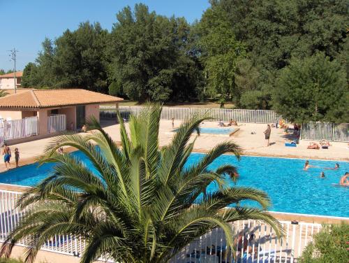 una palmera frente a una piscina en Lagrange Grand Bleu Vacances – Résidence Les Pierres de Jade en Saint-Cyprien