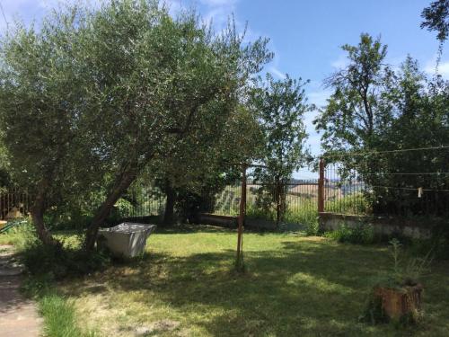 a yard with a tree and a fence at Oak Tree in Montefelcino