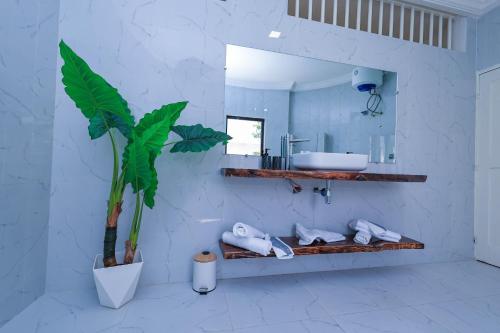 Un baño con un lavabo y una planta en maceta. en Villa Rosa Cotonou, en Cotonou