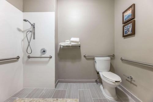 a bathroom with a toilet and a shower at Country Inn & Suites by Radisson Bolingbrook, I-55 in Bolingbrook