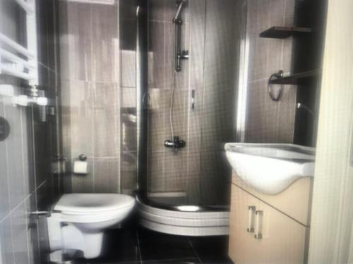 a bathroom with a toilet and a shower and a sink at Peri Pansiyon Butik Otel in Çınarcık