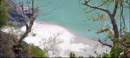 a view of a beach with water and trees at Samira's Birds & Butterflies Park-Spashram Ganga Beach Retreat in Rishīkesh