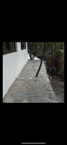 a sidewalk with a tree in the middle of a building at Samira's Birds & Butterflies Park-Spashram Ganga Beach Retreat in Rishīkesh