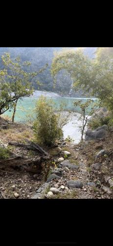 a view of a body of water with trees at Samira's Birds & Butterflies Park-Spashram Ganga Beach Retreat in Rishīkesh
