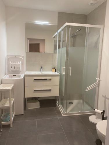 une salle de bain avec douche et lavabo dans l'établissement Appartement Bourg Saint Maurice Proche funiculaire - 2 étoiles 4 cristaux paradiski, à Bourg-Saint-Maurice