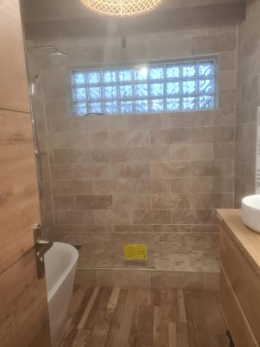 a bathroom with a shower and a toilet and a sink at Entre Terre et Mer in Oye-Plage