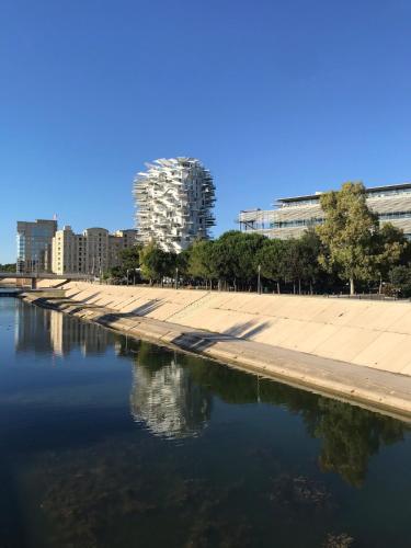 un reflet d'un bâtiment dans une masse d'eau dans l'établissement Charmant studio au bord du lez, à Montpellier