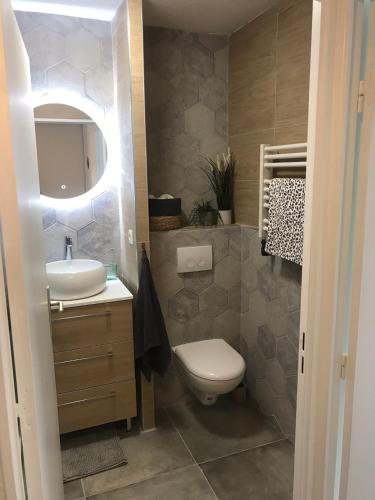 une salle de bain avec toilettes, lavabo et miroir dans l'établissement Charmant studio au bord du lez, à Montpellier
