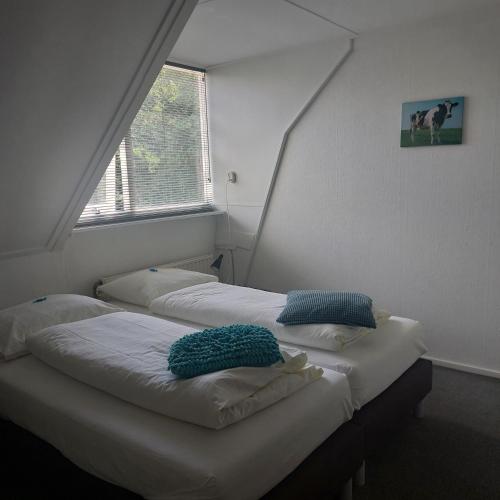 two twin beds in a room with a window at Hof Christina Vakantiewoningen in Vrouwenpolder