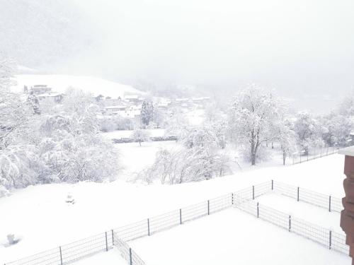 a snow covered yard with a fence and trees at Landidyll am Thiersee in Thiersee