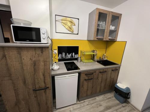 une petite cuisine avec un évier et un micro-ondes dans l'établissement Cote Jardin, AMIENS 4-6 P, à Amiens
