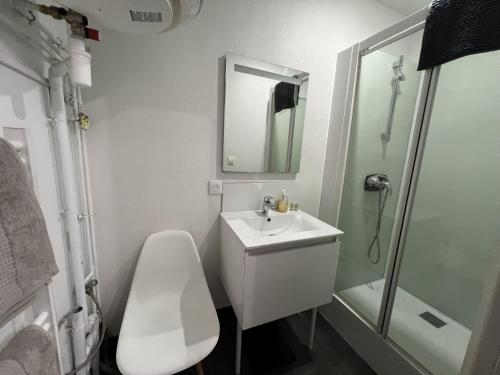 une salle de bain avec toilettes, lavabo et douche dans l'établissement Cote Jardin, AMIENS 4-6 P, à Amiens