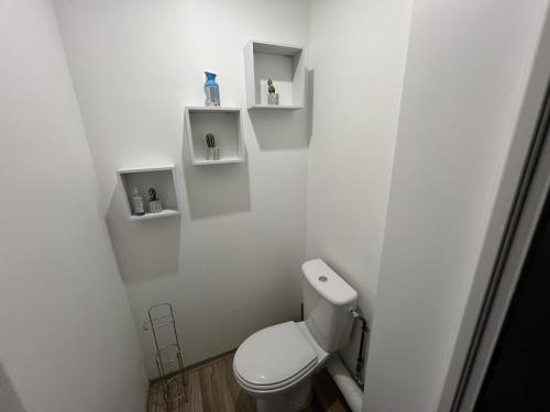 La salle de bains est pourvue de toilettes et d'étagères murales. dans l'établissement Amiens, appart douillet 2-4P, à Amiens