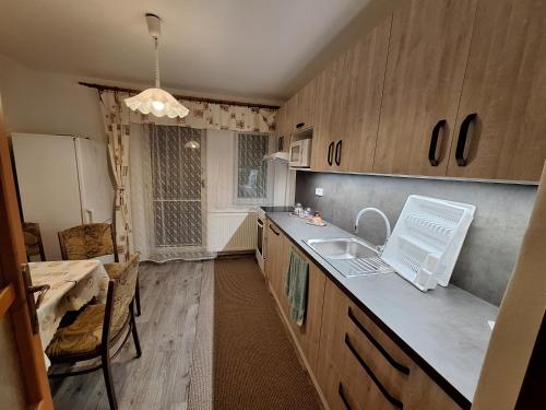 a kitchen with a sink and a counter top at Chalupa Růženka in Dolní Dobrouč