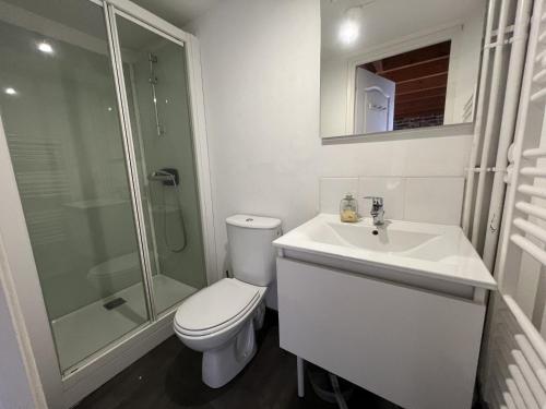une salle de bain avec toilettes, lavabo et douche dans l'établissement Amiens, sous les toits 4-6 pers, à Amiens