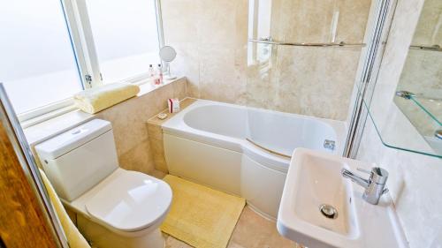 a bathroom with a toilet and a shower and a sink at Buttercup in Llanrhyddlad