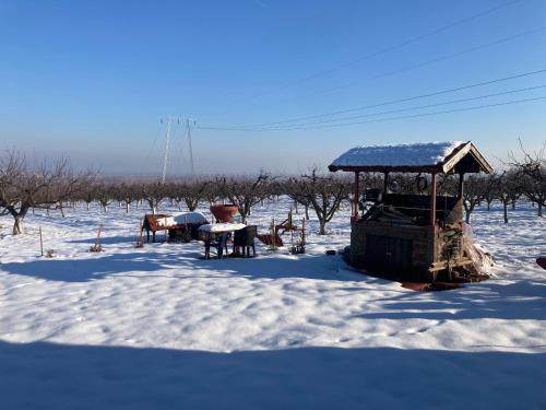 a snow covered field with a gazebo in the snow at Salaš Belo Brdo in Čerević