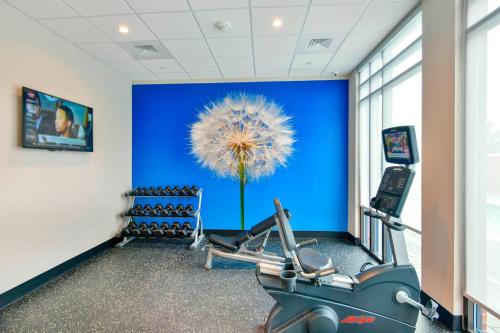 a gym with a blue wall and cardio equipment at SpringHill Suites by Marriott Wilmington Wrightsville Beach in Wilmington