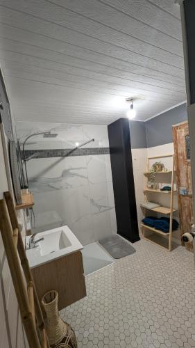 a bathroom with a sink and a shower at Au pied du col in Luttenbach-près-Munster